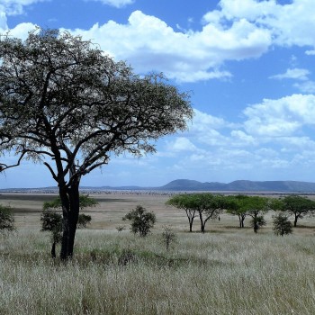 Tanzania