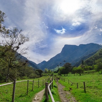 Explore the Heart of Colombia: A Journey Through Salento, Cocora Valley, & Filandia