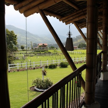 Explore the Coffee Triangle of Colombia: A Journey Through Salento, Cocora Valley, & Coffee Farms