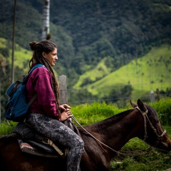 Explore the Coffee Triangle of Colombia: A Journey Through Salento, Cocora Valley, & Coffee Farms