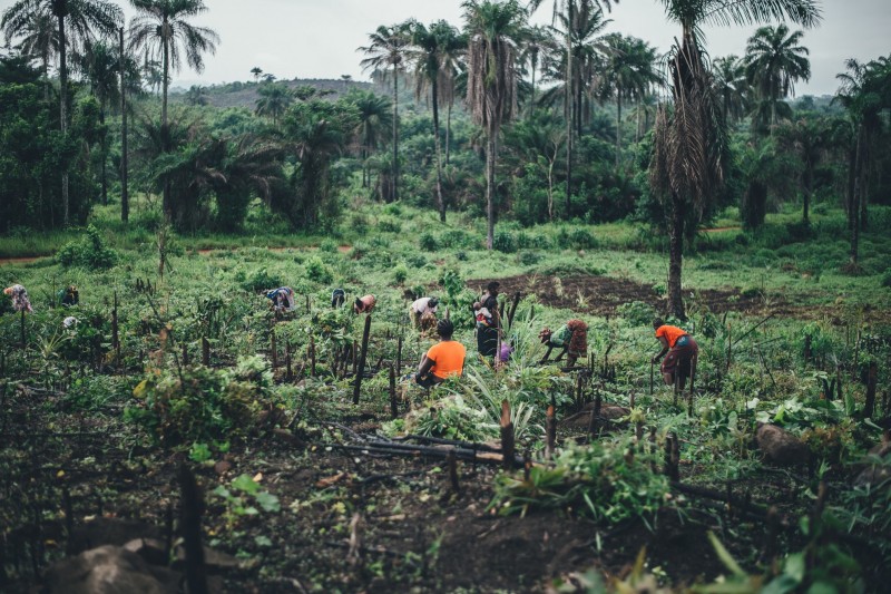 Sierra Leone